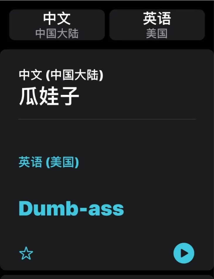 海丰苹果手机维修分享iOS14的“翻译太懂了”怎么用 